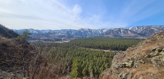 Чемал или недосчитанные ступени - фото