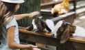Приключения на Алтае: детские развлечения на одной карте - фото