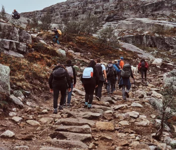 Авторские туры до 7 дней - фото