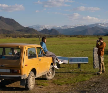 Однодневные - фото