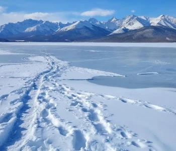 Туры по России в январе - фото