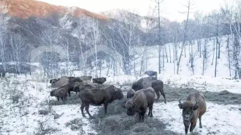Отдых на Чемале на 2 дня - фото 3