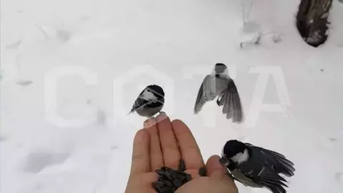 Вся Белокуриха за один день - фото 2