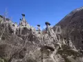 Алтайский обзорный - Комфортный тур 7 дней - фото 1 (миниатюра)