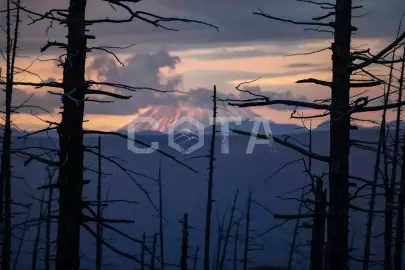 Тур на Толбачик 4 дня/3 ночи, лето 2026 - фото 2