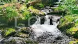 Золотое Телецкое озеро по-максимуму (5 дней, комфорт) - фото 17 (миниатюра)