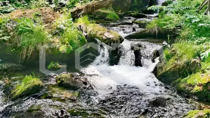 Золотое Телецкое озеро по-максимуму (5 дней, комфорт) - фото 17
