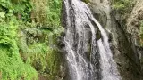 Золотое Телецкое озеро по-максимуму (5 дней, комфорт) - фото 7 (миниатюра)