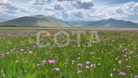 Антистресс на Байкале! - фото 3
