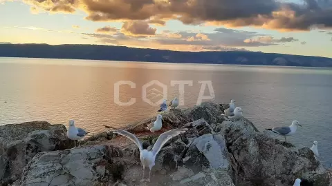 Антистресс на Байкале! - фото 5