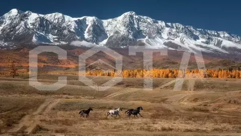 Автотур "Путь Алтая" - фото 2