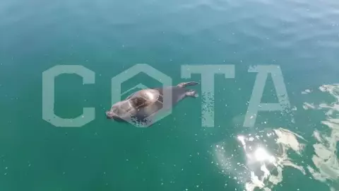 Путешествие на катере в бухту Песчаную - фото 3