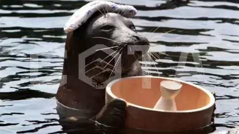 Экскурсионный тур в Листвянку - визитную карточку Байкала - фото 3