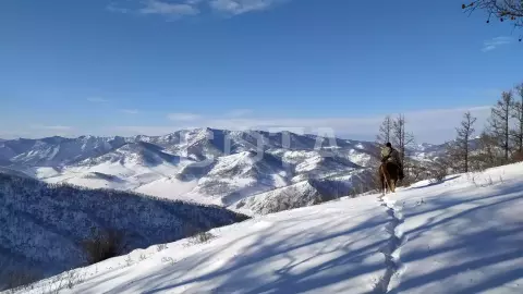 Прокат на лошади на Алтае на 2 часа с небольшим подъёмом на гору - фото 4