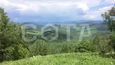 Прокат на лошади на Алтае на 2 часа с небольшим подъёмом на гору - фото 5