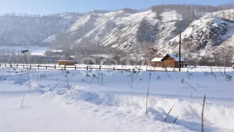 Конная прогулка зимой - фото 3