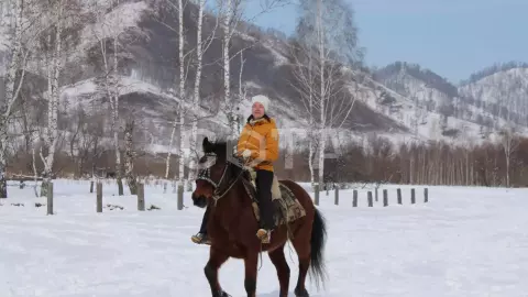 Конная прогулка зимой - фото 1
