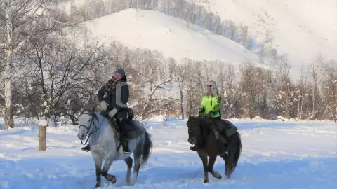 Конная прогулка зимой - фото 2