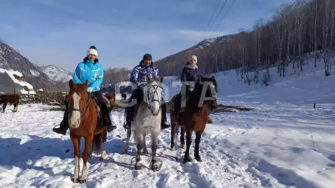 Конная прогулка зимой - фото 4