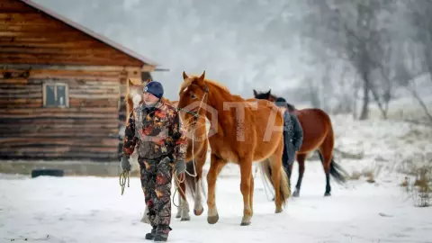Конная прогулка зимой - фото 5