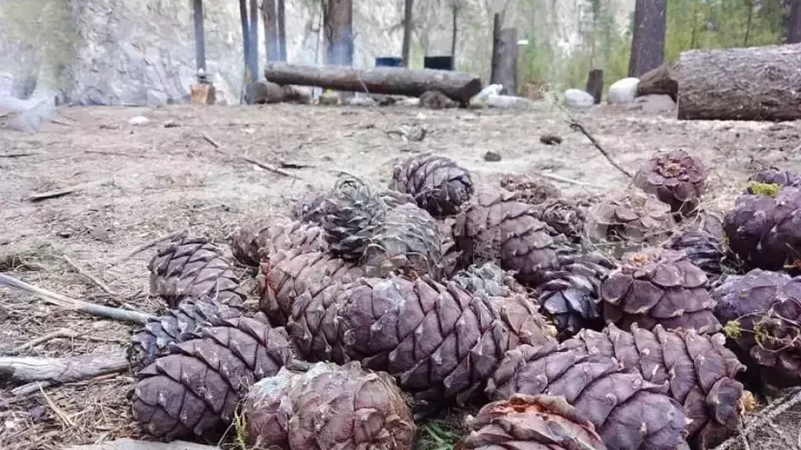 РЫБАЛКА НА СЕВЕРЕ БАЙКАЛА - фото 1