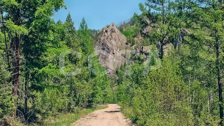 ОДНОДНЕВНОЕ ПУТЕШЕСТВИЕ В ТАЖЕРАНСКИЕ "СОЛНЕЧНЫЕ" СТЕПИ - фото 7