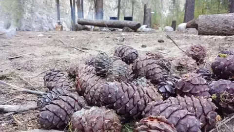 РЫБАЛКА НА ОКЕ САЯНСКОЙ - фото 2