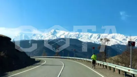 Большое цветение маральника - фото 3