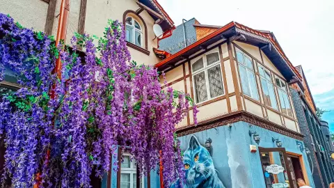 Море, дюны, город. Увидеть и влюбиться - фото 1