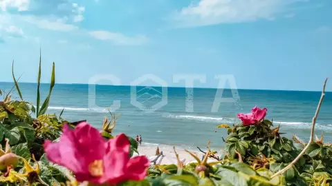 Море, дюны, город. Увидеть и влюбиться - фото 3