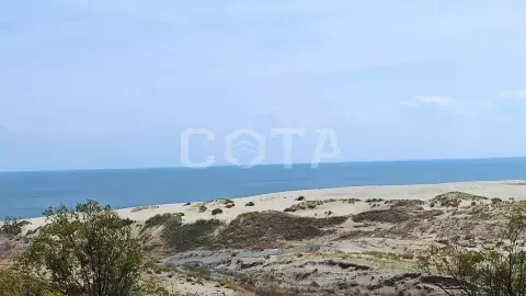 В царство моря, дюн и птичьих голосов - фото 3
