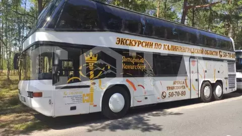 Обзорная по Калининграду на двухэтажном автобусе - фото 2