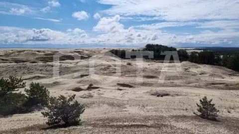 Куршская коса, г. Зеленоградск и дегустация в сыроварне Schaaken Dorf - фото 4