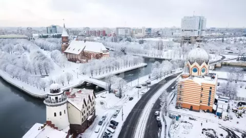 Обзорная по Калининграду на двухэтажном автобусе - фото 3