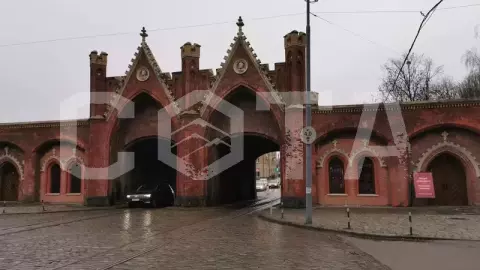 Обзорная по Калининграду на двухэтажном автобусе - фото 4