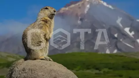 УНИКАЛЬНАЯ НА ПЛАНЕТЕ - фото 3