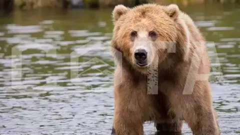 УНИКАЛЬНАЯ НА ПЛАНЕТЕ - фото 4