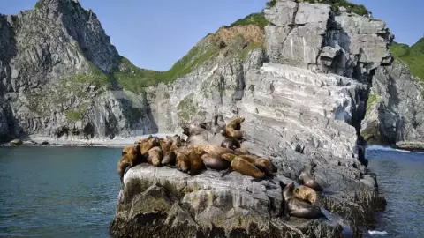 Камчатские приключения - фото 1