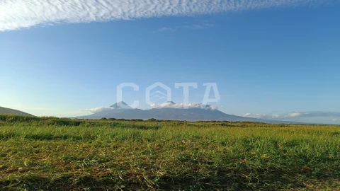 Халактырский пляж - фото 5