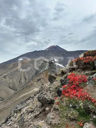 Авачинский перевал, гора Верблюд - фото 4
