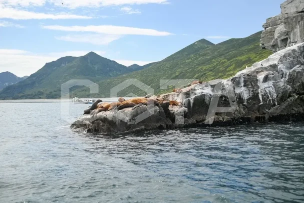 Морская прогулка к бухте Русской - фото 2