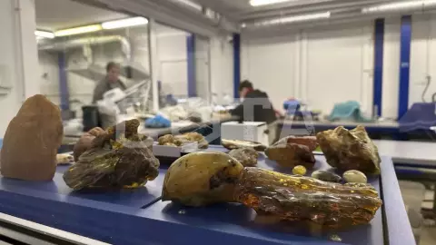 Янтарный + отдых на лучшем пляже с кафе из Светлогорска - фото 2