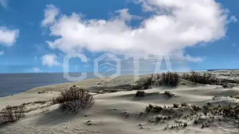 Куршская Коса + отдых на море из Светлогорска - фото 1