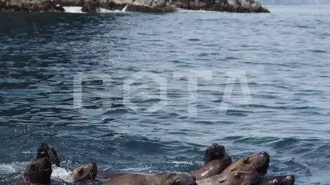 Рыболовный тур - Глубоководная рыбалка на Камчатке - фото 4
