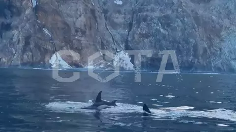 Путешествие в бухту Русская - 2 дня - фото 2