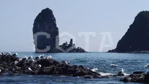 Рыболовный тур - Глубоководная рыбалка на Камчатке - фото 5