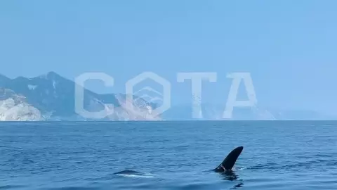 Рыболовный тур - Глубоководная рыбалка на Камчатке - фото 3