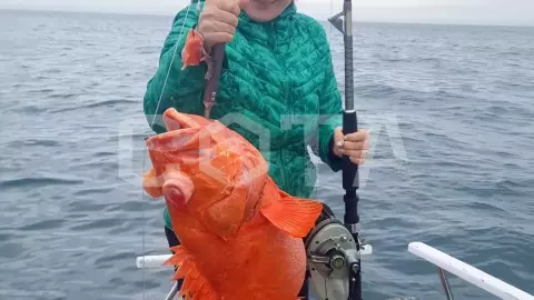 Рыболовный тур - Глубоководная рыбалка на Камчатке - фото 1
