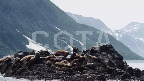 Путешествие в бухту Русская - фото 4