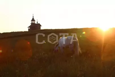 ЭКСКУРСИЯ НА ОСТРОВ КИЖИ - фото 3